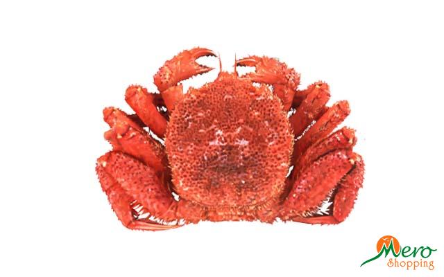 Japanese Crab 