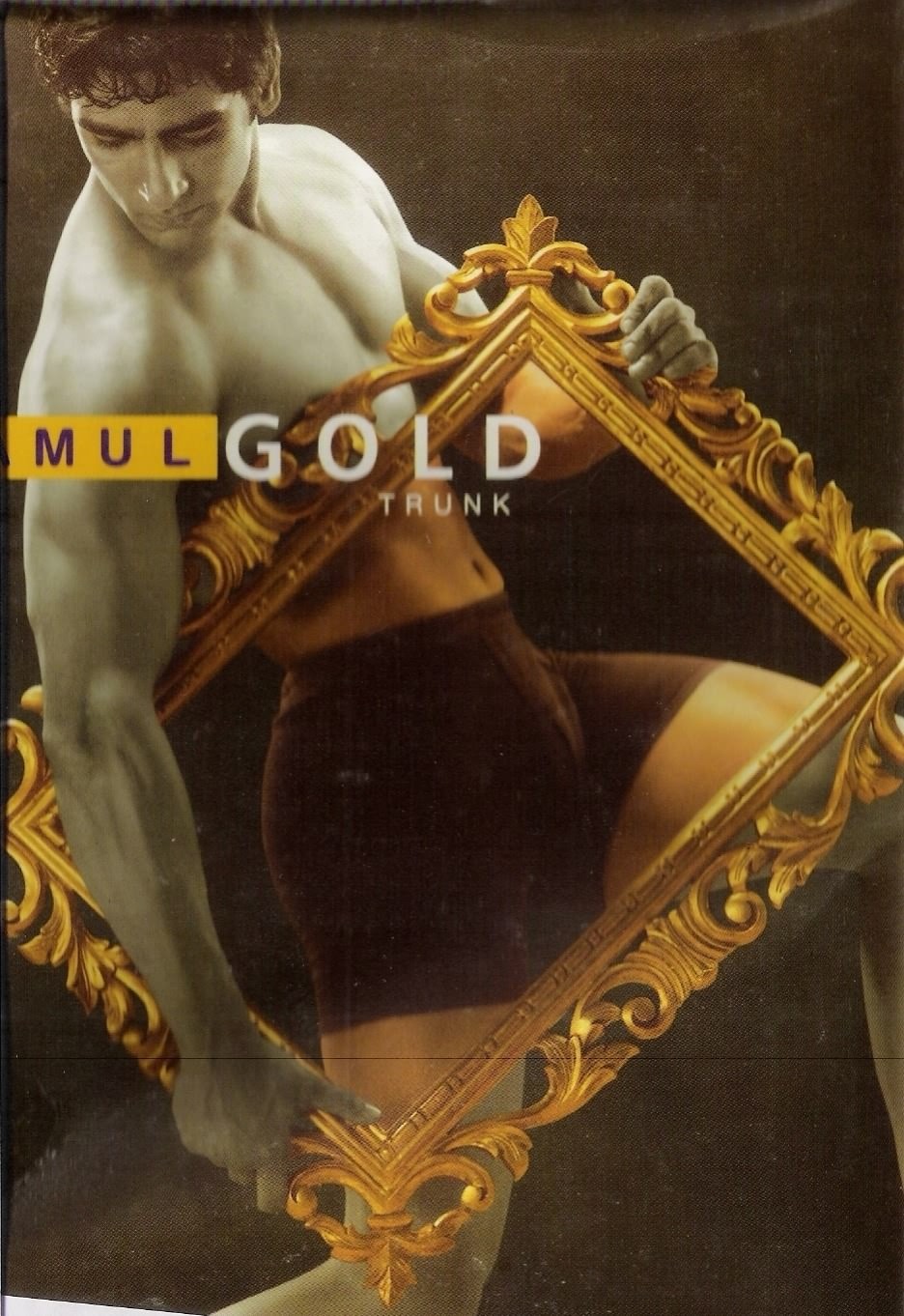 Amul Gold Trunk
