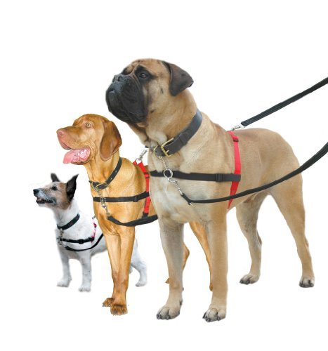 Halti Dog Harness, No Pull Dog Harness, Small