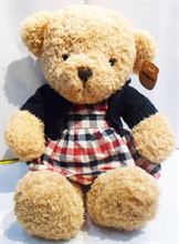 Teddy bear oo1