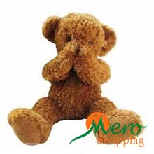 Teddy Shy Bear with Magnetic Hands Brown 